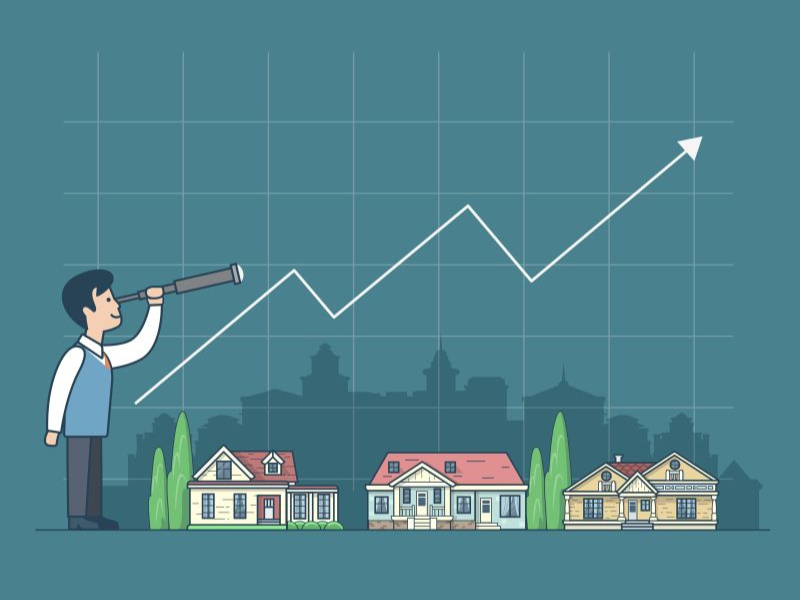 Personal Portfolio Images